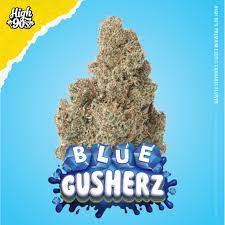 Blue Gusherz