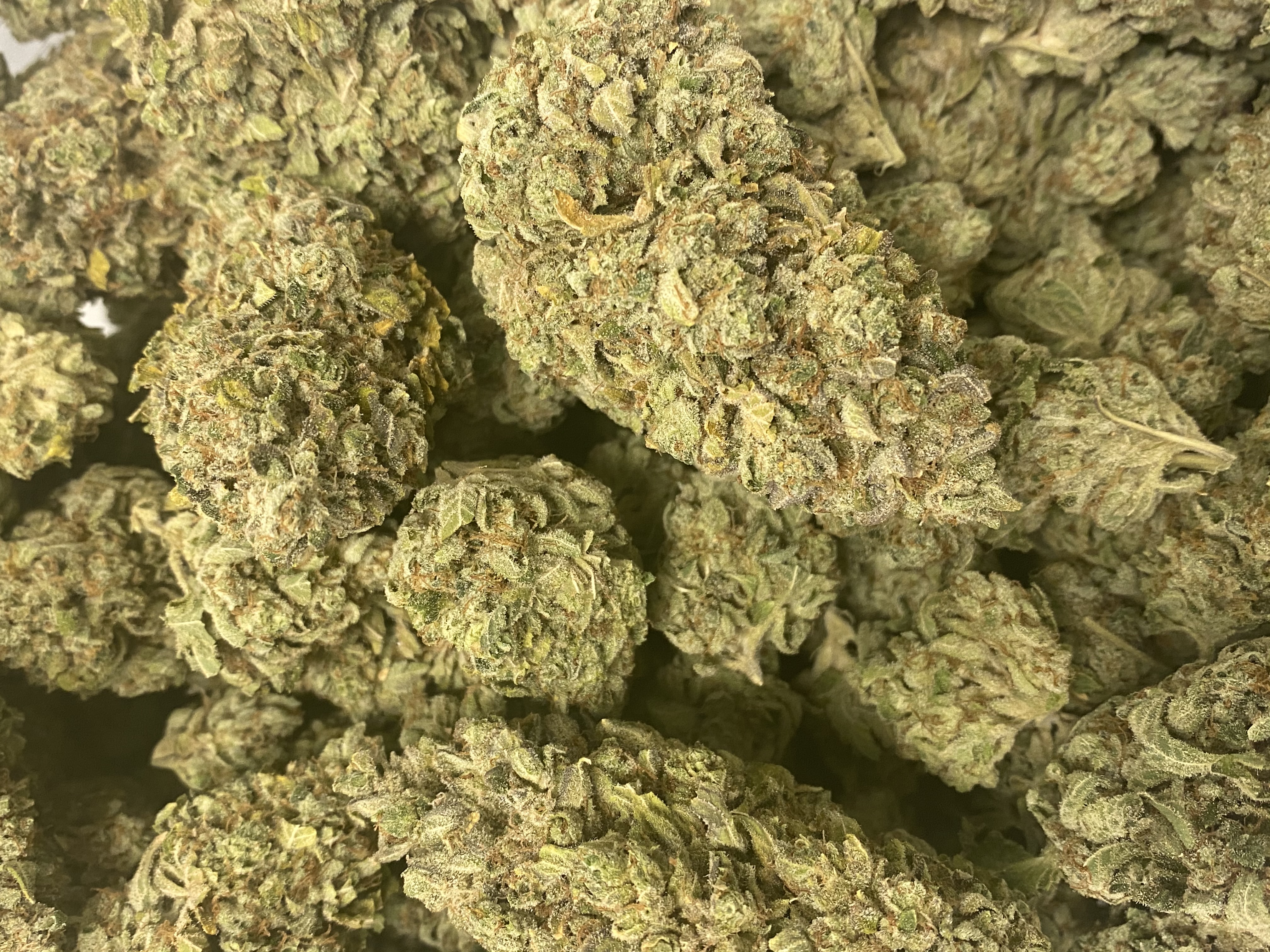 SNOWMAN OG