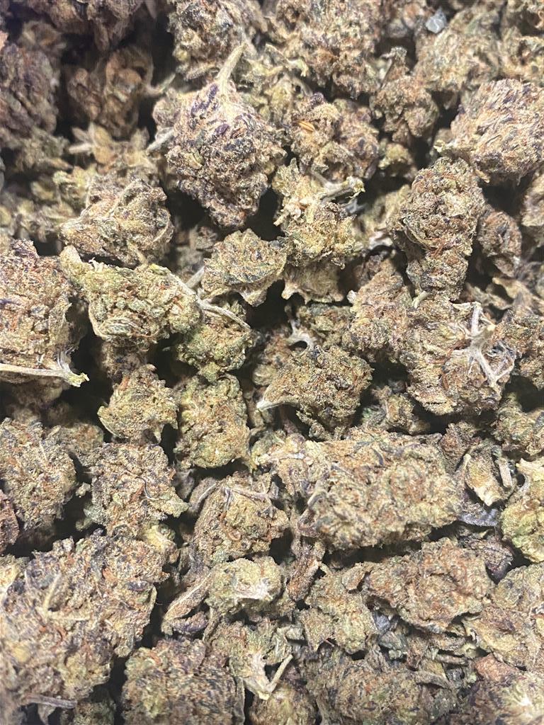 Purple Rain